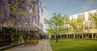 schulich master of finance